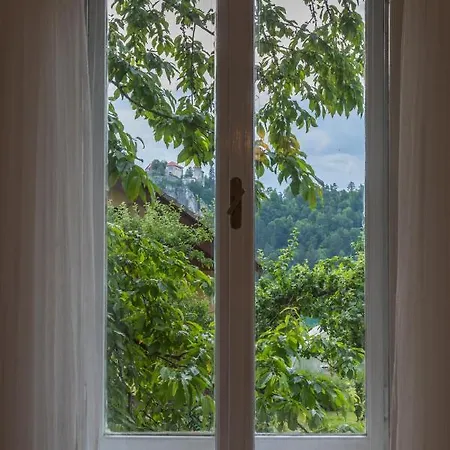 Apartment Anna *